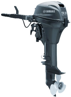 9.9hp